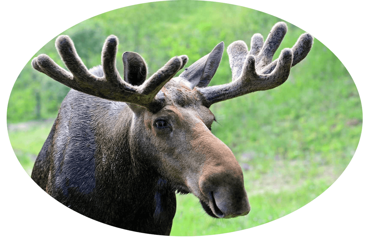 Moosehill + Outdoor Clothing + outdoor wear shops, camping clothes, outdoor clo